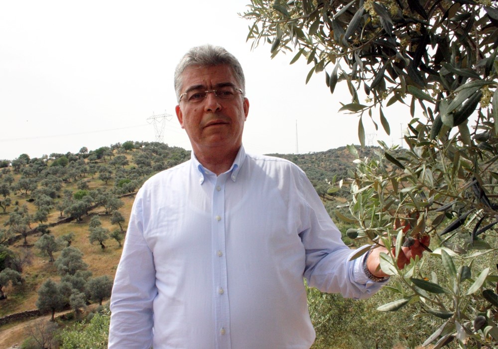Nizip Zeytin ve Zeytinyağı Dünyaya Açılıyor