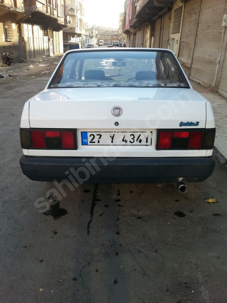 Beyaz Aslan
