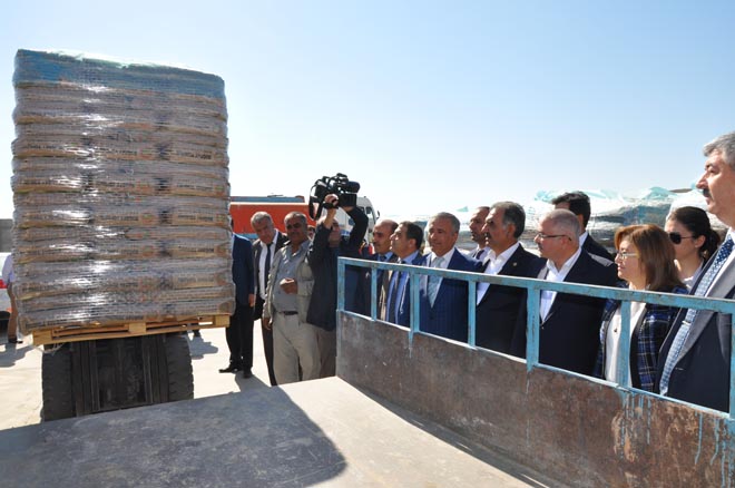 Büyükşehir belediyesi nden çiftçilere ücretsiz tohumluk buğday ve arpa dağitimi