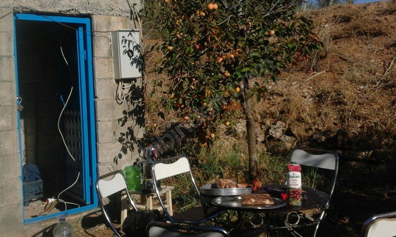 Satilik hurma bahçesi