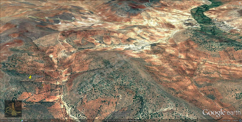 salkımda uygun fıstıklık