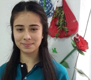Alkan mtal öğrencisi özgür asena kara il birincisi oldu