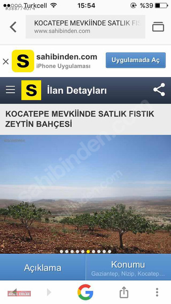 Nizip Kocatepe de satılık fıstıklık