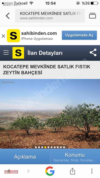 Nizip Kocatepe de satılık fıstıklık