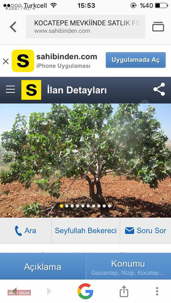Nizip Kocatepe de satılık fıstıklık