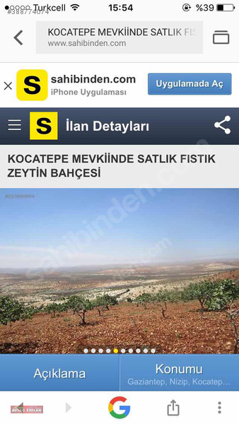 Nizip Kocatepe de satılık fıstıklık