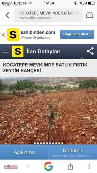 Nizip Kocatepe de satılık fıstıklık