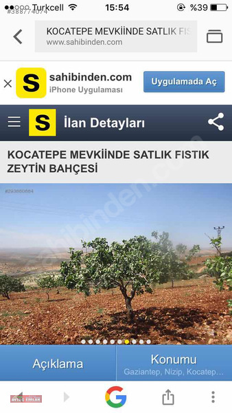 Nizip Kocatepe de satılık fıstıklık