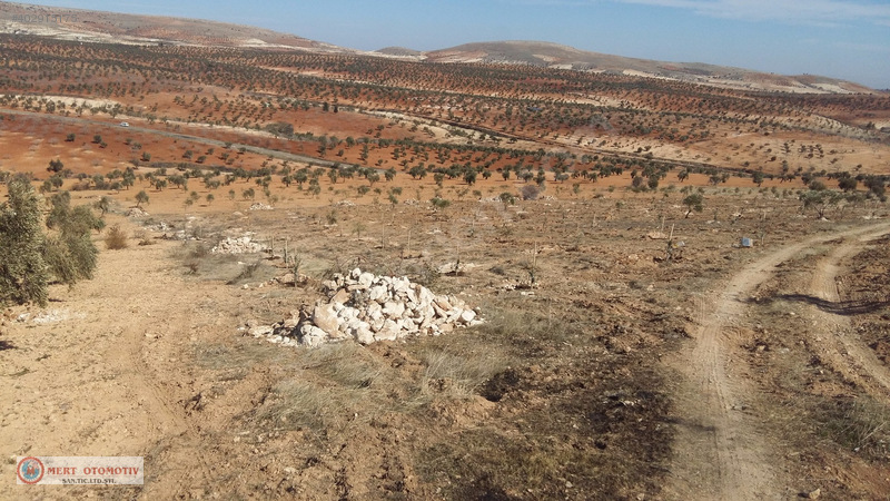 +sahibnden kocatepe 11.000-metre zeytinlik firsat