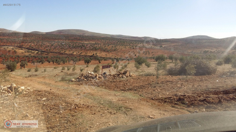 +sahibnden kocatepe 11.000-metre zeytinlik firsat