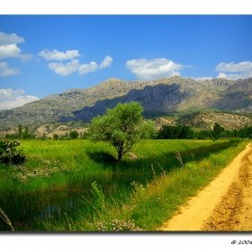GÖNÜL BAHÇESİ