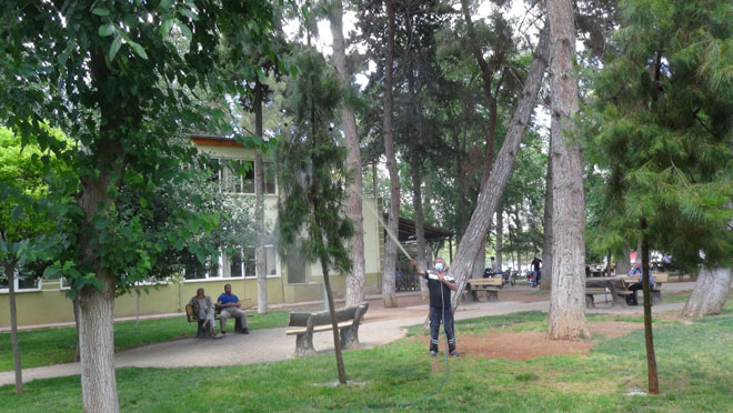 Parklar ilaçlanip temizleniyor