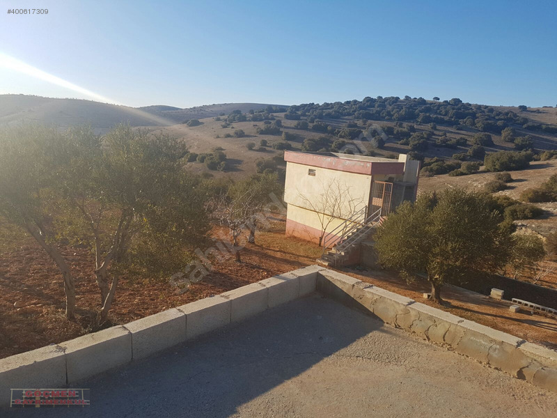 Nizip özyurt köyünde satilik arazi