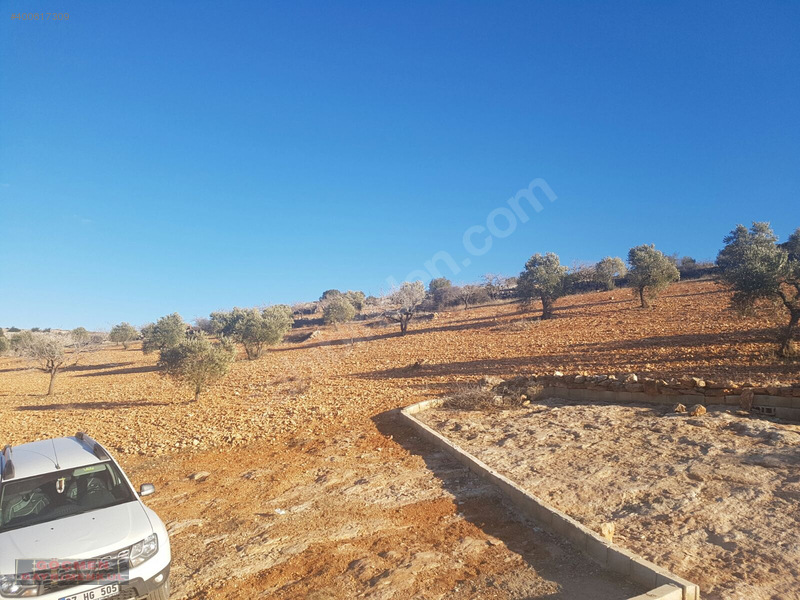 Nizip özyurt köyünde satilik arazi