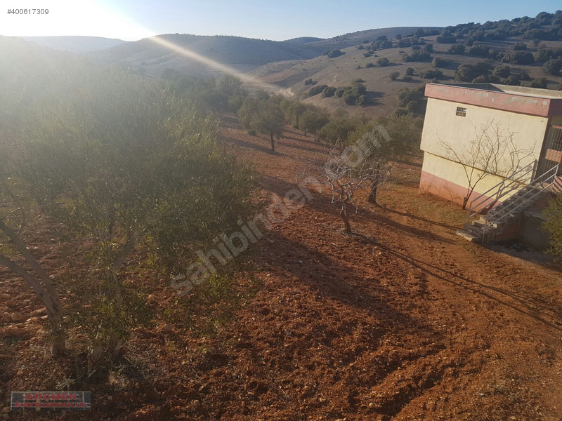 Nizip özyurt köyünde satilik arazi