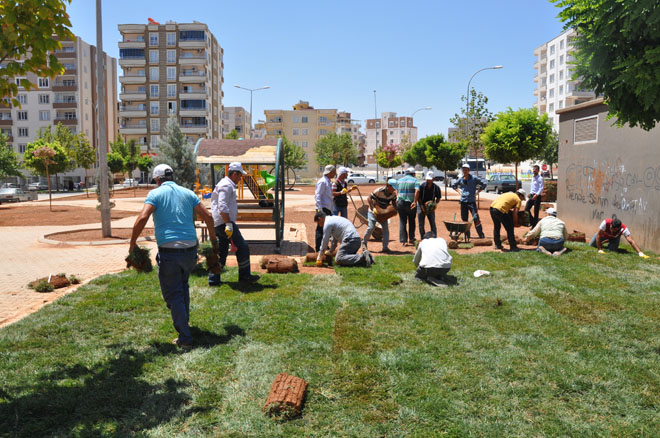 Parklarda çimlendirme çalişmasi