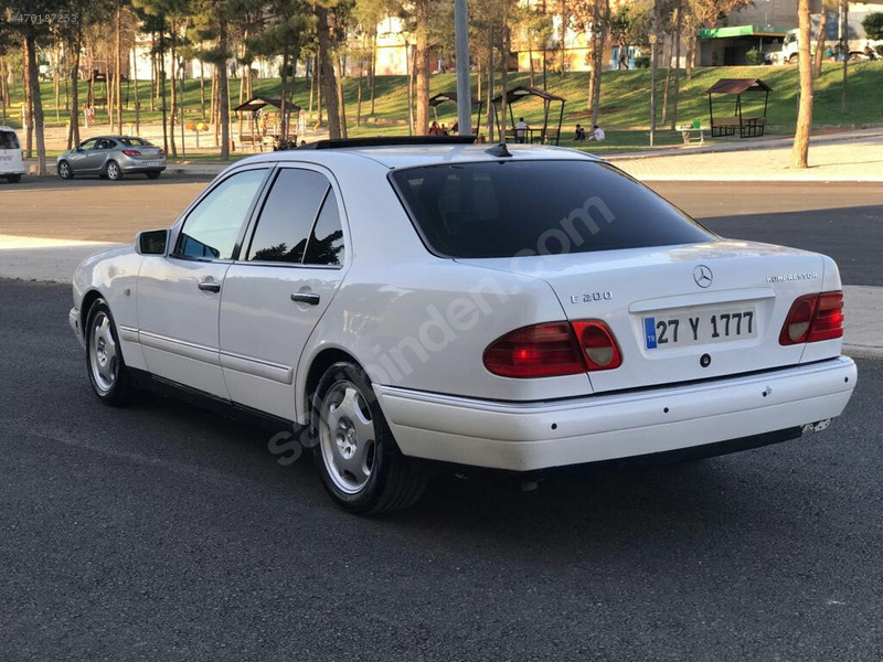 beyaz kelebek satlık