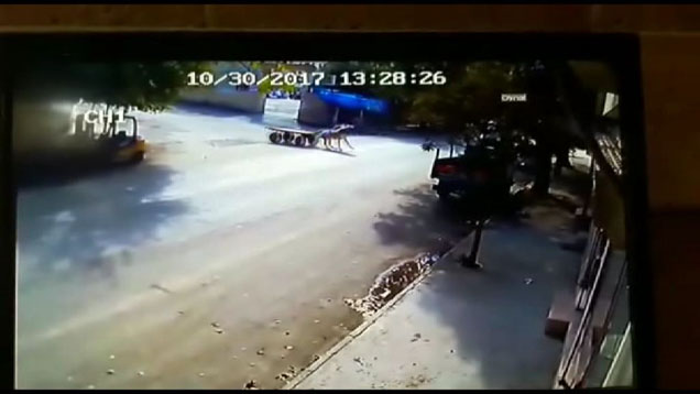 Kontrolden çikan at duvara çarpti