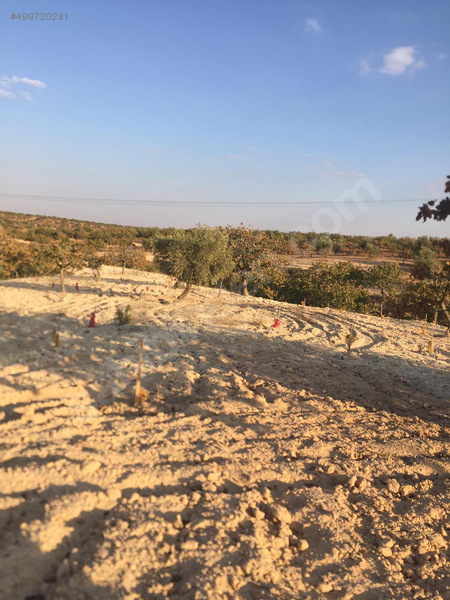 ÖKSÜZ GAYRİMENKULDEN ADLİYE SARAYINA 1 km mesafede