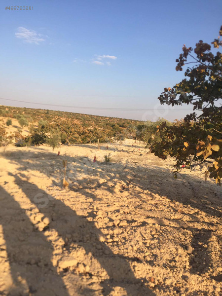 ÖKSÜZ GAYRİMENKULDEN ADLİYE SARAYINA 1 km mesafede