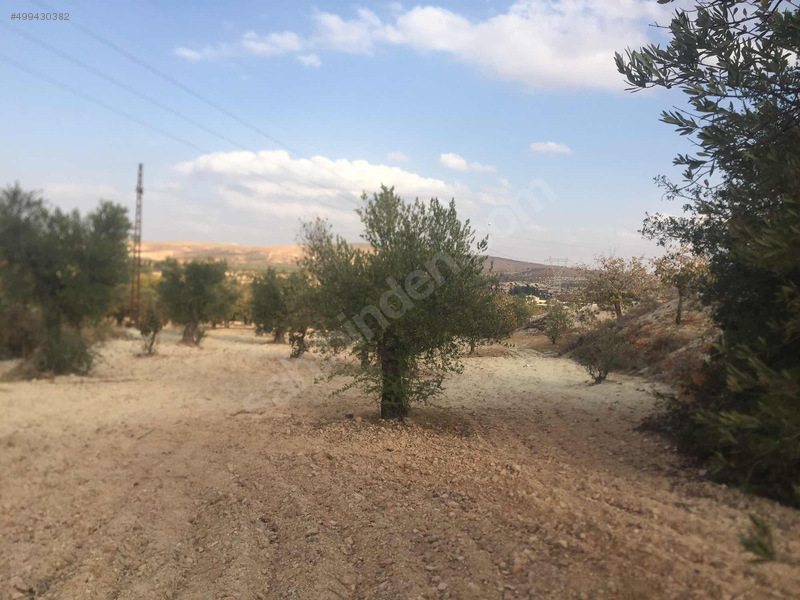 ÖKSÜZ GAYRİMENKULDEN 2.600 metre