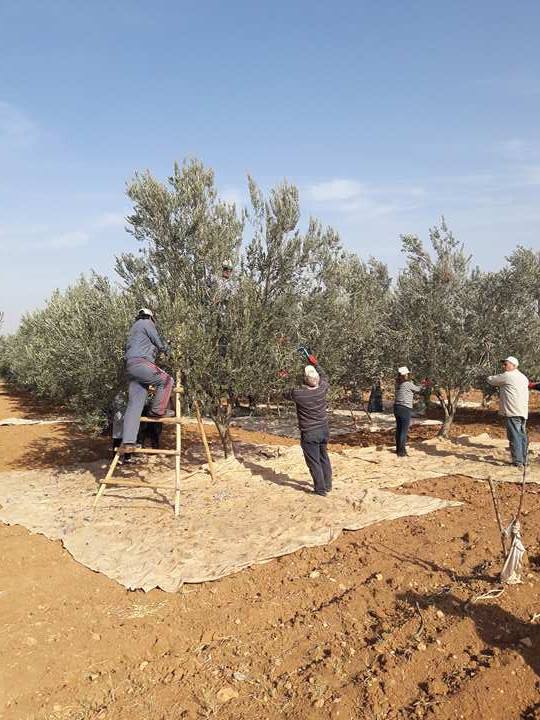 Suriyeliler uygulamali eğitime geçti