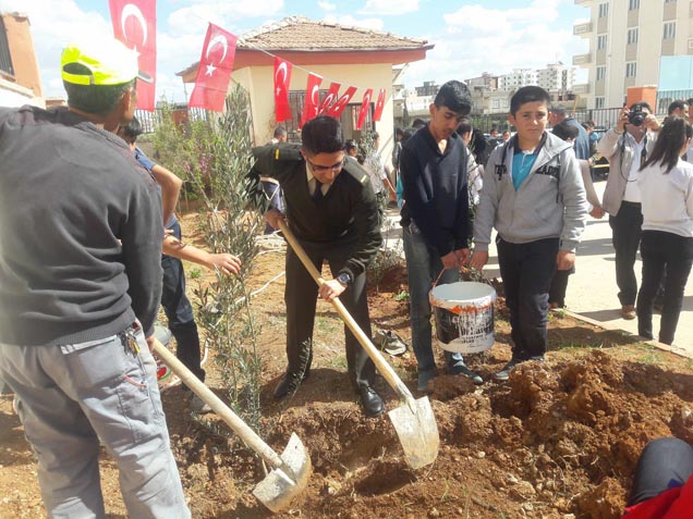49 şehide 49 zeytin fidani