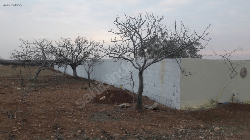 ** Nizip ÇİFTLİK bağ evi yeri manzarali