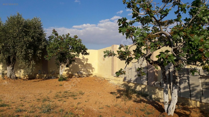 ** Nizip ÇİFTLİK bağ evi yeri manzarali