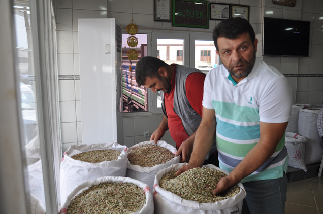 Fistik hali nde hareketlilik