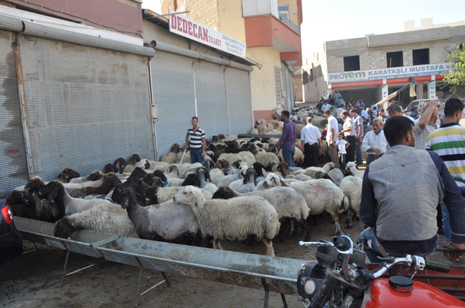 Kurban pazarlari hareketlendi