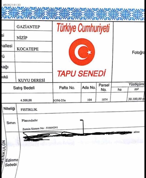 Gaziantep te acil satilik fistiklik