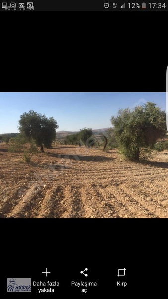 Fth real estate'den nizip sekilli de bağ evi yapmaya uygun arazi