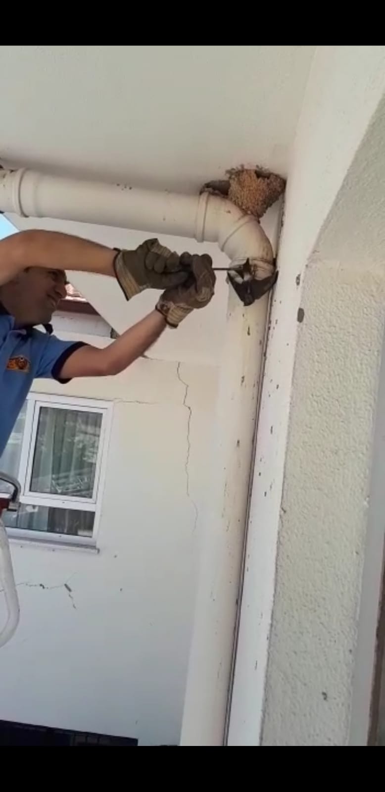 Itfaiye ayaği sikişan kirlangici kurtardi