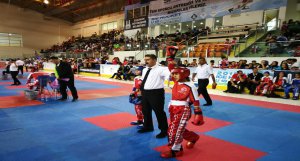 Mehmet Akif Ersoy Halk Eğitim Merkezi Spor Kulübü Sporcularından Türkiye Şampiyonlukl