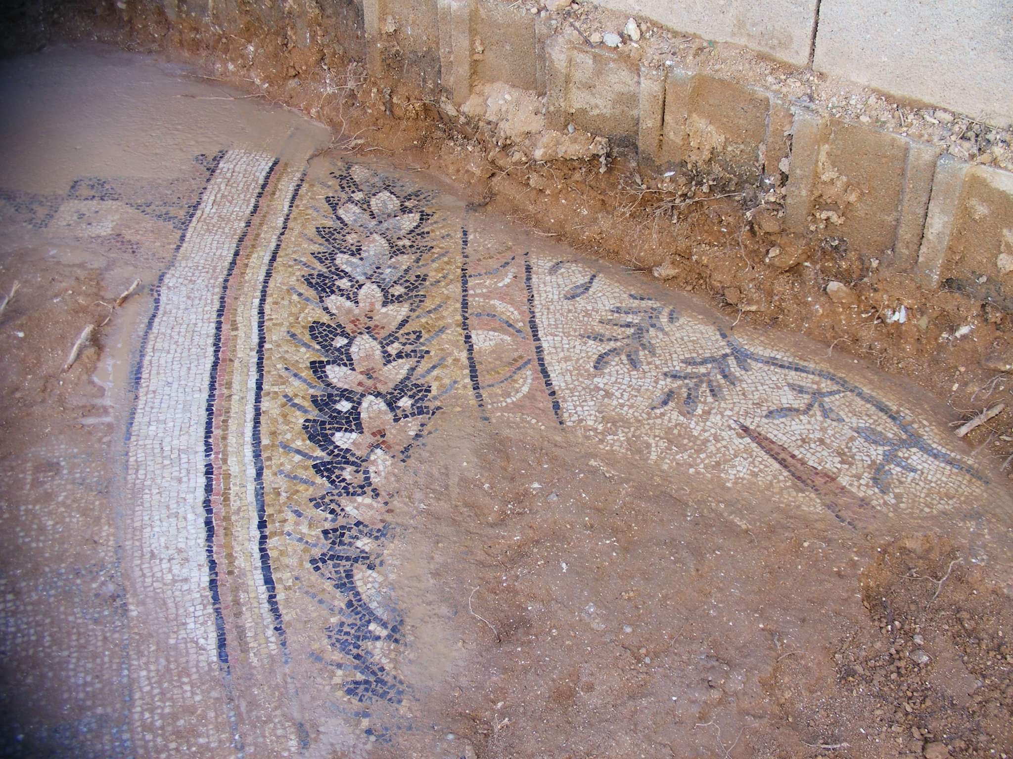 Sahipsiz Zeugma