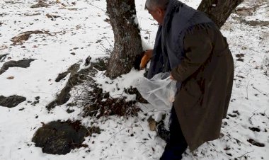 Doğadaki Canlılar Unutulmadı Doğadaki Canlılar Unutulmadı