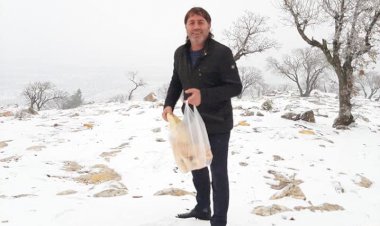 Doğadaki Canlılar Unutulmadı Doğadaki Canlılar Unutulmadı