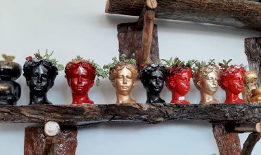 Lusudem Çiçekçilik Hizmete Açıldı