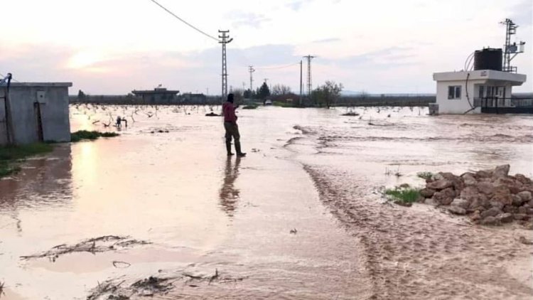 Nizip ve Karkamış’ta sel tarımı etkiledi Nizip ve Karkamış’ta sel tarımı etkiledi