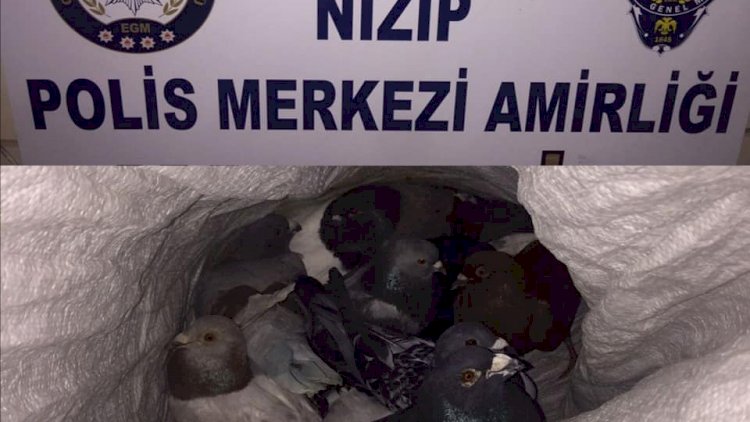 Bekçiler Hırsızlık Şüphelilerini Affetmedi Bekçiler Hırsızlık Şüphelilerini Affetmedi