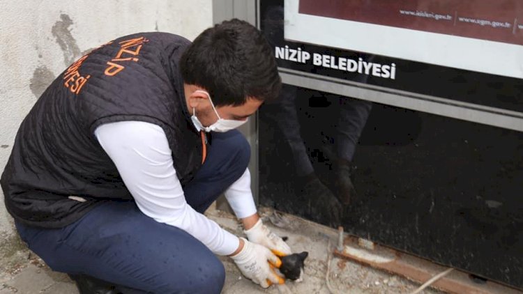 Durağa sıkışan kediyi belediye ekipleri kurtardı
