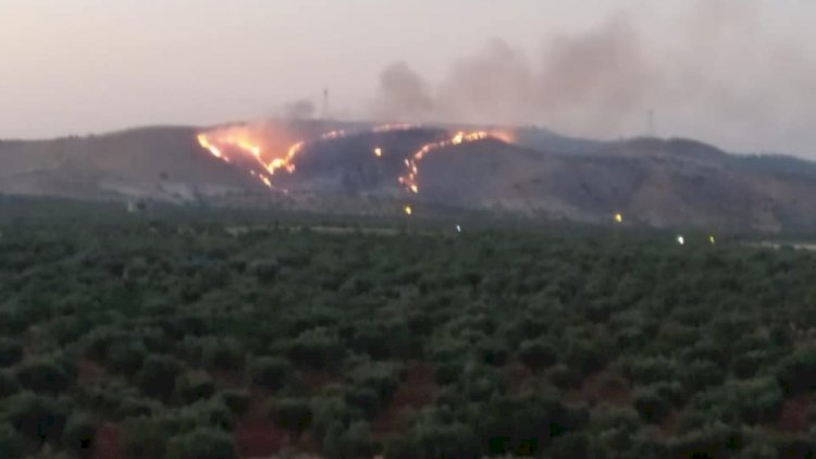 Zergil Dağı'ndaki orman yangını söndürüldü
