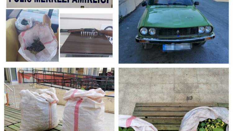 Nizip’te Fıstık hırsızlığı şüphelileri yakalandı Nizip’te Fıstık hırsızlığı şüphelileri yakalandı
