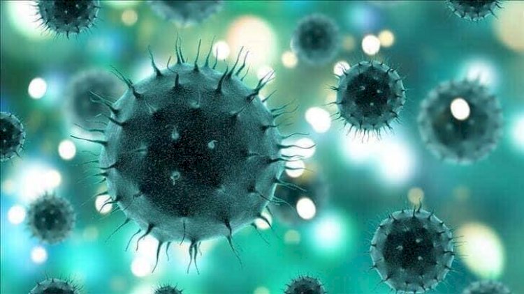 Nizip’te karantina sayisi 152 hanede 600 kişi oldu*