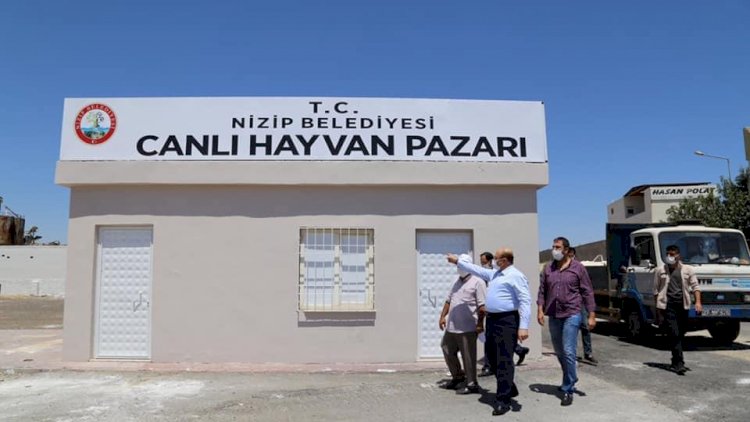 Başkan Sarı, Hayvan Pazarında incelemelerde bulundu