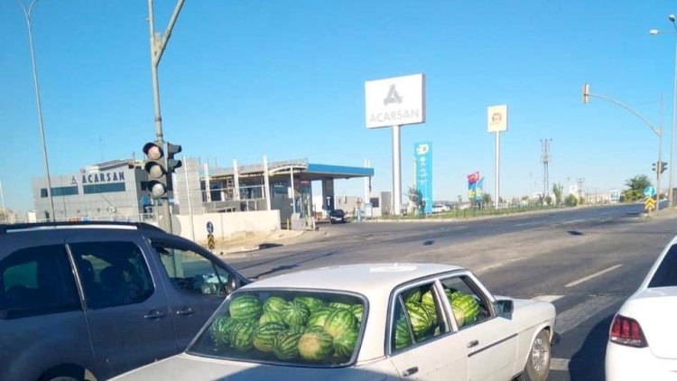 Görenleri Hayrete Düşürdü