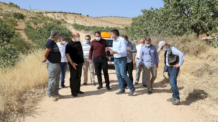 Başkan Sarı, tarihi alanlarda incelemelerde bulundu Başkan Sarı, tarihi alanlarda incelemelerde bulundu