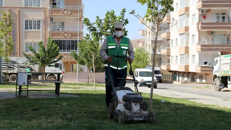 Park ve yeşil alanlarda çalışmalar sürüyor 