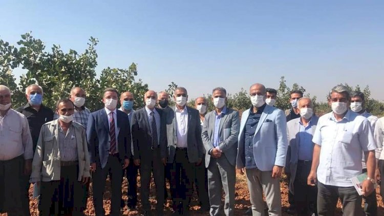 Uygulamalı Çiftçi Okulları toplantısı Nizip'te yapıldı Uygulamalı Çiftçi Okulları toplantısı Nizip'te yapıldı